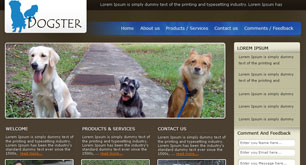DOGSTER Using Our Cloud Server Hosting